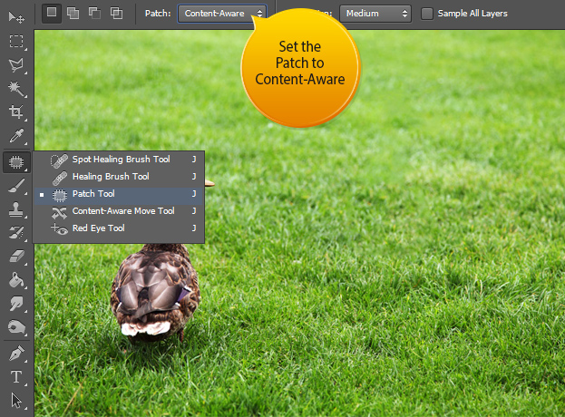 The new Content Aware Patch Tool in Photoshop CS6