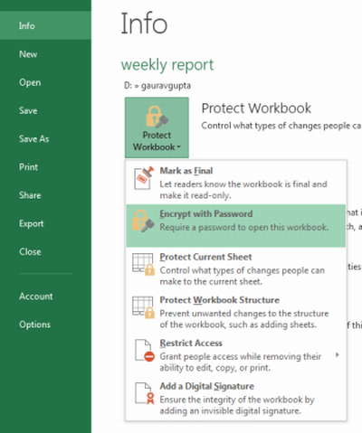 Protecting Worksheets in Excel 2013