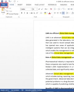 How to prevent Document Editing in Word 2013