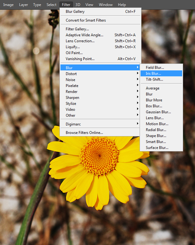 How to Use the new Iris Blur Inside Photoshop CS6