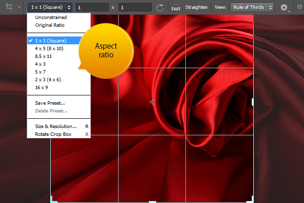 How to Use the New Crop Tool in Photoshop CS6