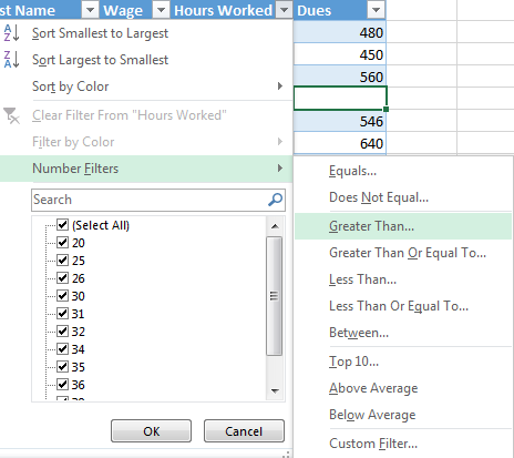 How to Filter Data in a Table in Excel 2013 5
