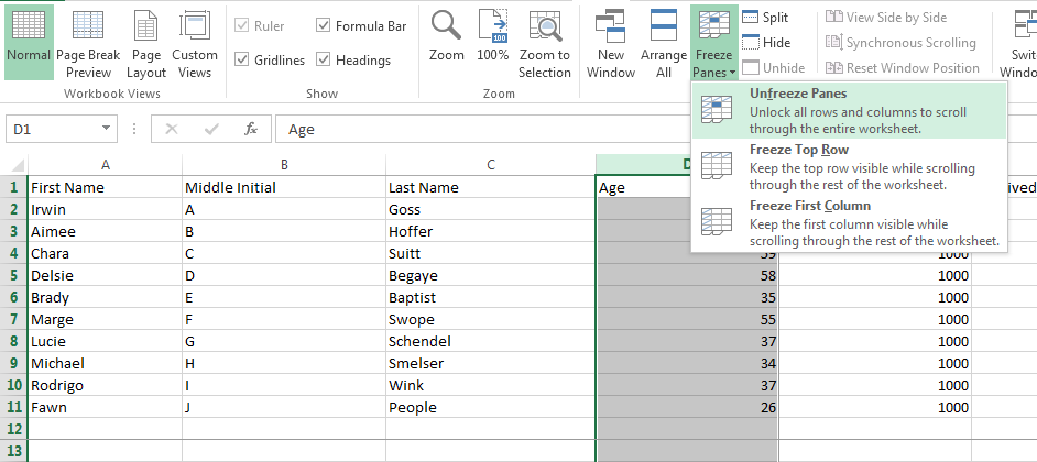 How to Freeze Panes in Excel 2013 6